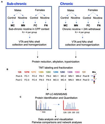 Sex Differences in the Ventral Tegmental Area and Nucleus Accumbens Proteome at Baseline and Following Nicotine Exposure